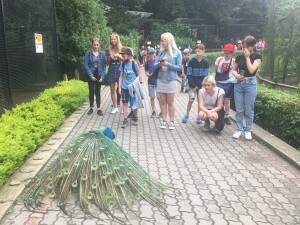 IMG-2316