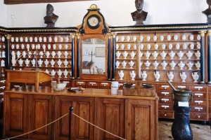Klasa 1c muz farmacji 2023 2